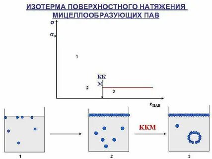 Поверхностное натяжение адсорбция