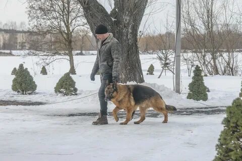 Пса 7 6