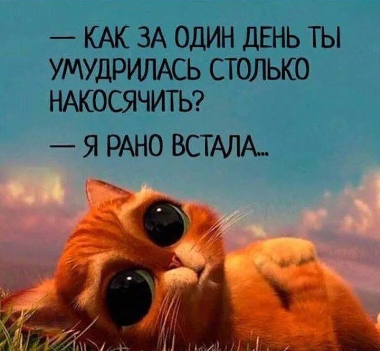 Я тоже рано встаю