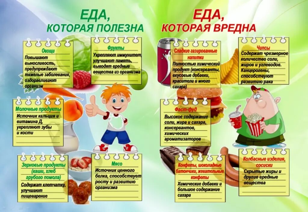 План питание в школе. Правильное питание для детей. здоровое питание школьников. информация о здоровом питании для школьников. плакаты по здоровому питанию для дошкольников.