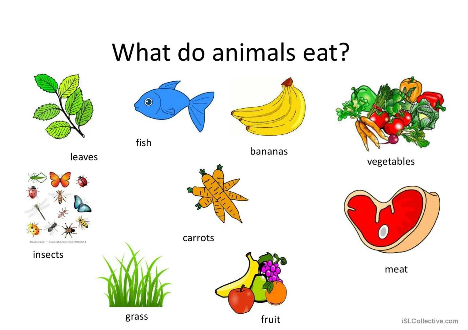 Do they like animals. What do animals eat Worksheets. Pets на английском для детей. Animals and food for Kids. Food for animals Vocabulary.