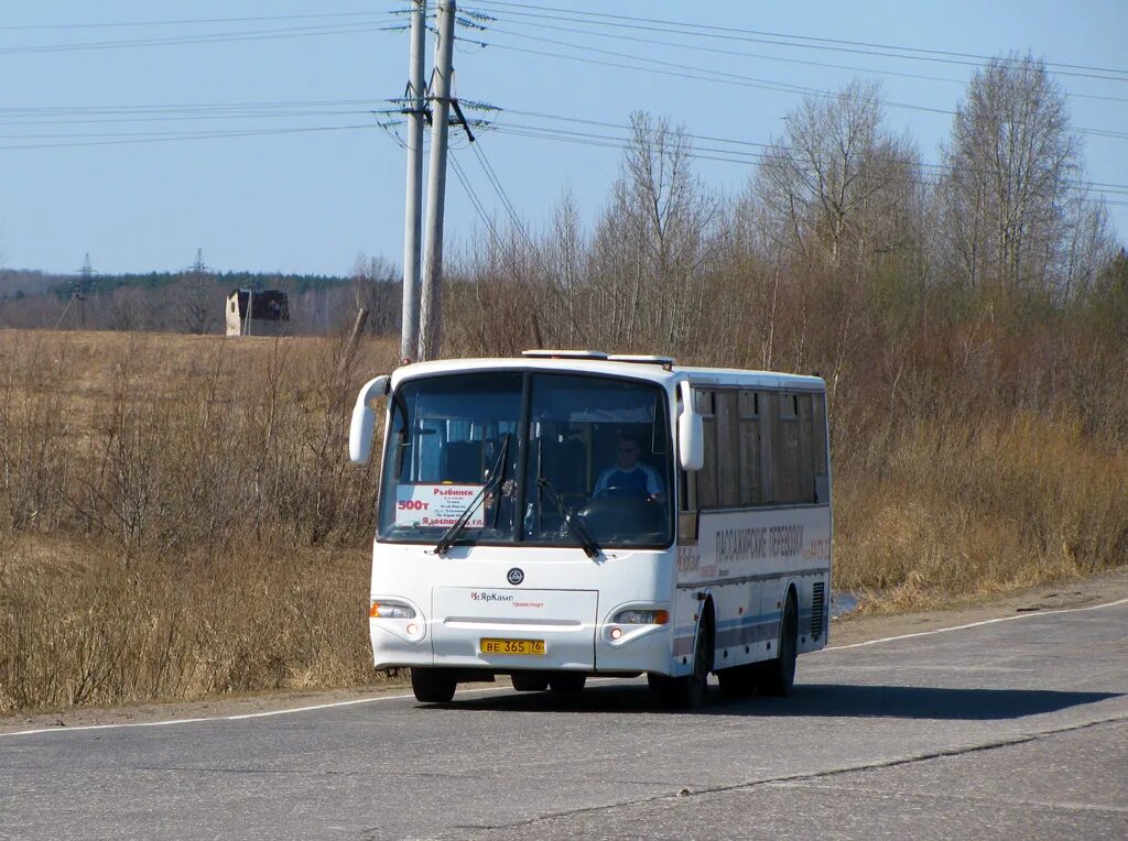 500 Автобус Рыбинск Ярославль. Автобус маршрут 500т Рыбинск-Ярославль. Автобус Ярославль Рыбинск. Маршрутки Рыбинск Ярославль. Автобус 128 тутаев левый берег