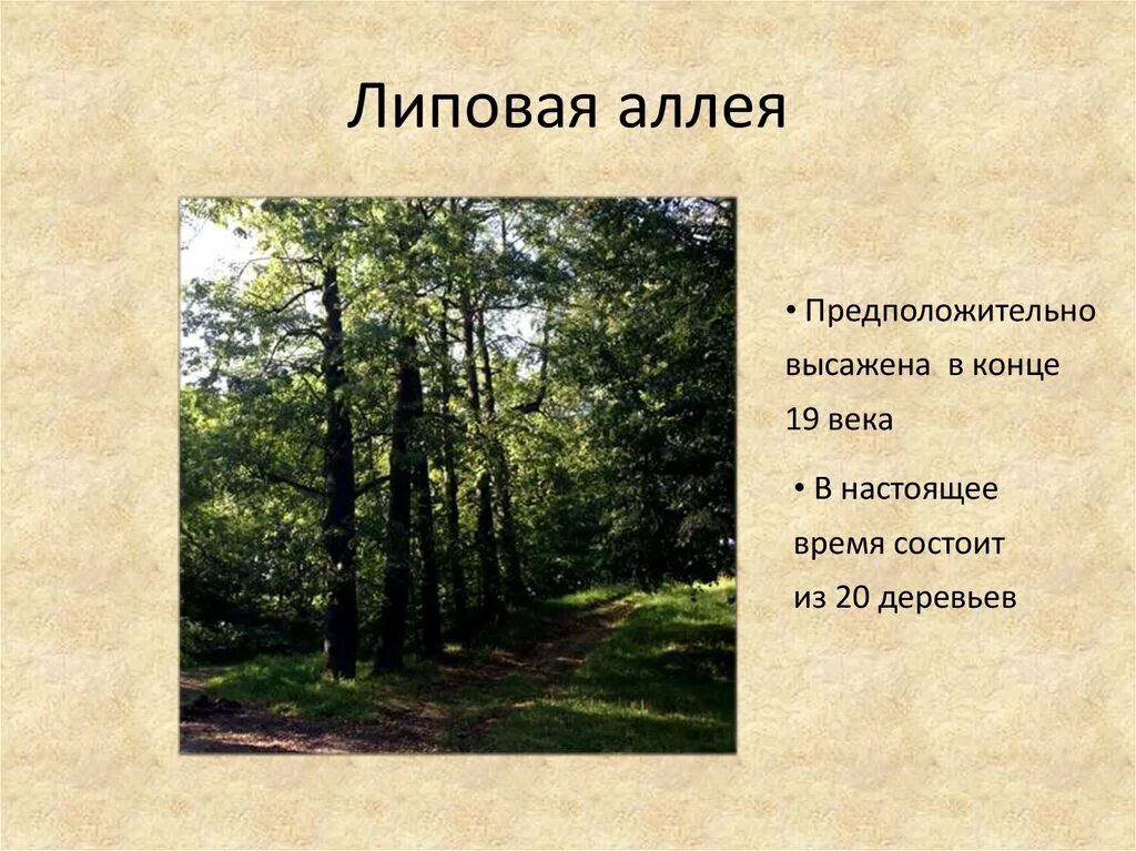 Аллея героев белгород. Стихотворение про аллею славы. Аллея героев в парке победы в г белгороде. Хмурая дождливая наступила осень стих. Табличка аллея деревьев.