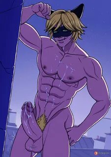 Slideshow cat noir pelado gay.