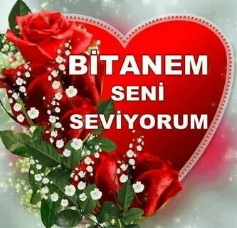 Seviyorum sen