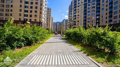 Санкт петербург малая бухарестская 12