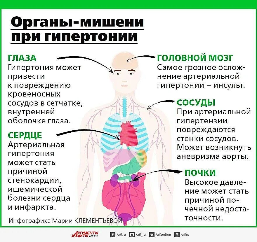 Органы-мишени при артериальной гипертензии. Гипертоническая болезнь органы мишени. Органы мишени при артериальной гипертонии. Поражение органов при артериальной гипертензии.