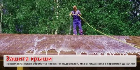 Чем обработать от мха