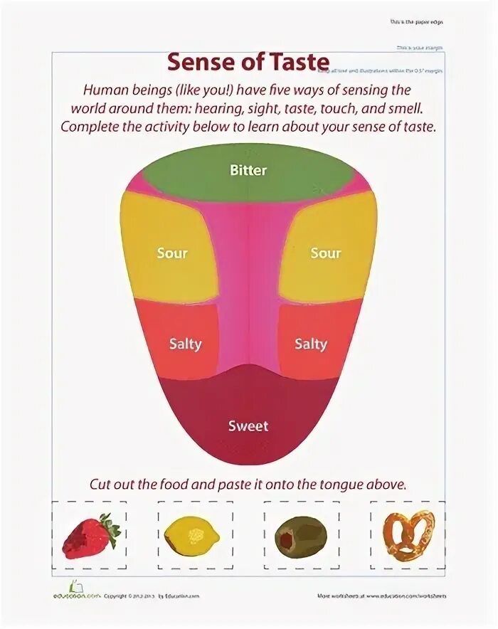 Вкус перевод на английский. Sense of taste Worksheet. Taste Sensations. Food tastes Worksheets. Tastes Worksheet.