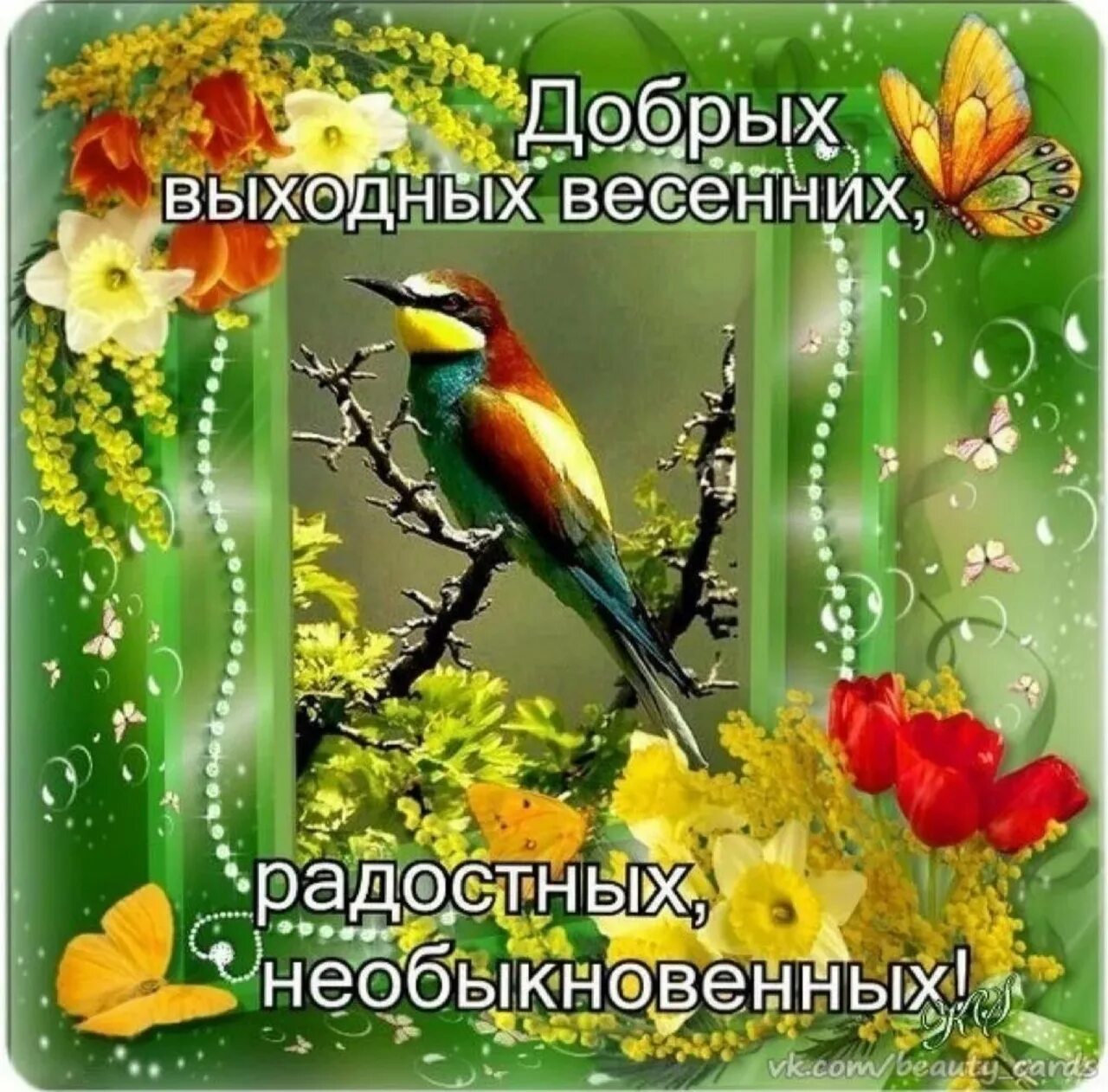 Пожелания с добрым субботним утром: картинки и открытки 110 шт.