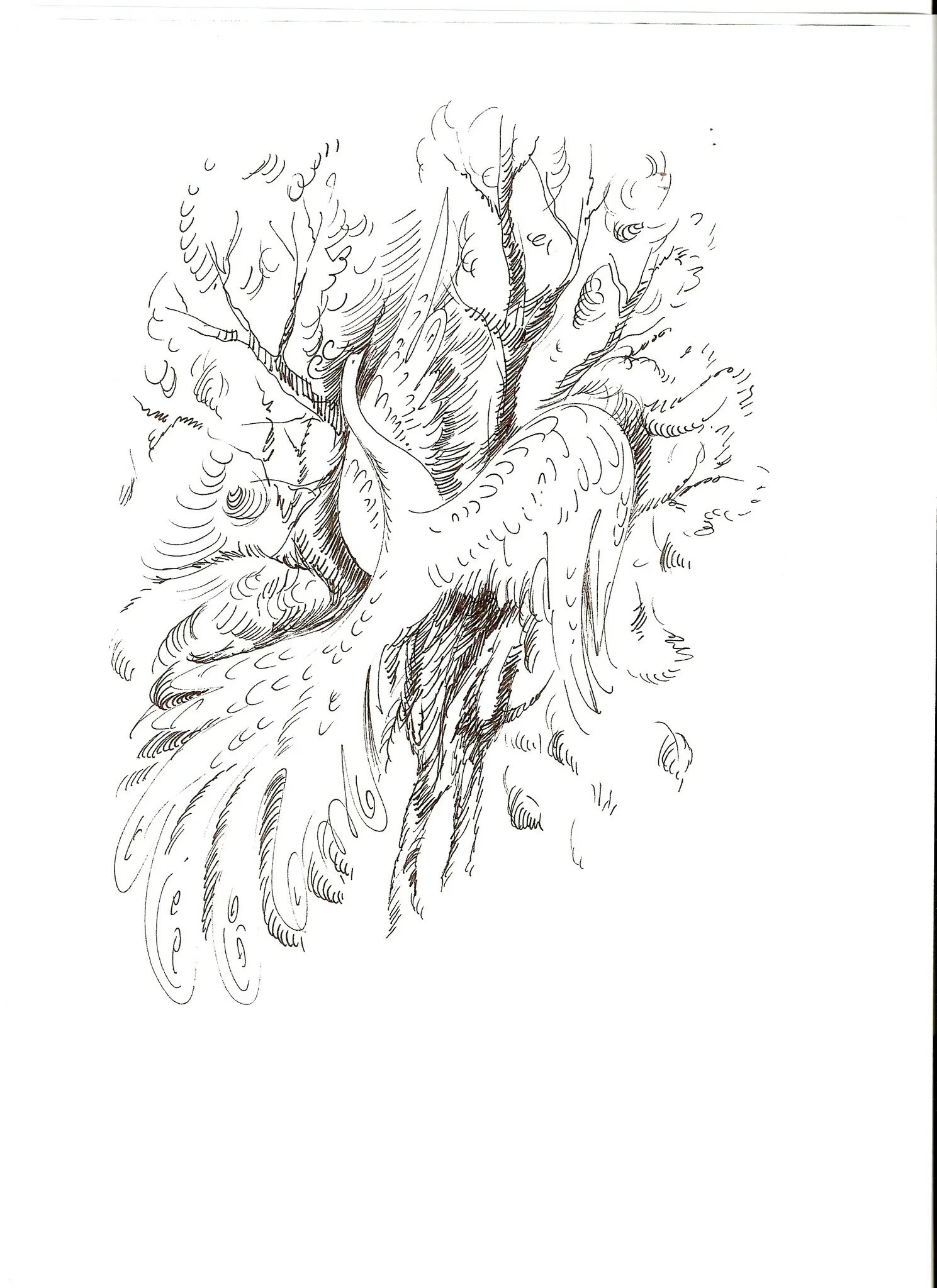 сказочная жар птица. жар птица читать. конек горбунок ершова про жар-птицу. жар птица читать. жар птица.