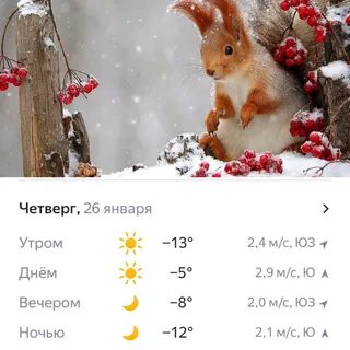 Какой января