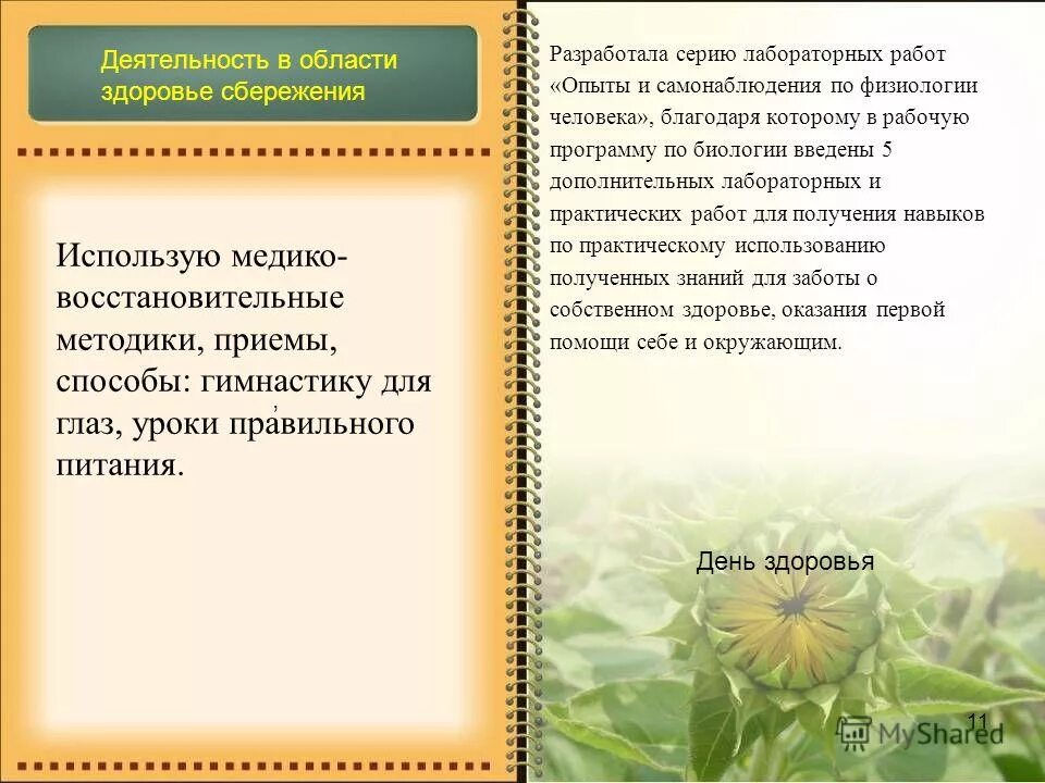 значимость биоразнообразия. биогеоценотический уровень биологическая система. этапы смены сукцессий. проживание биологического на одном месте. экосистема.
