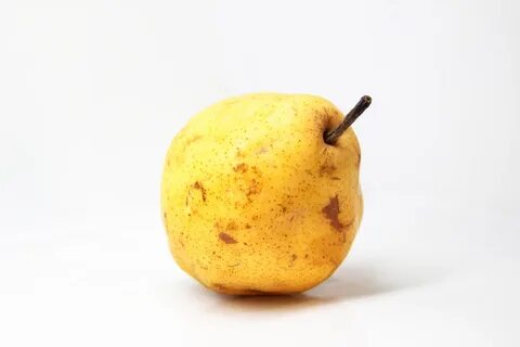 Белая груша фрукт