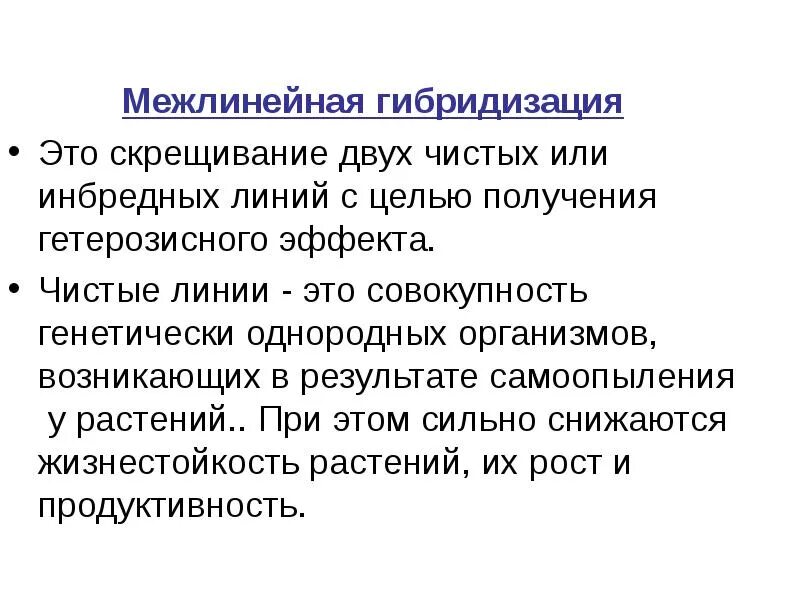 Мепелинейная гибридизация. Межлинейная гибридизация это в биологии. Межлинейная гибридизация в селекции растений.