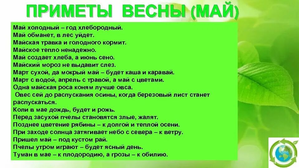 Какую веселую примету подметил автор