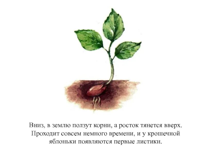 Совсем не много времени