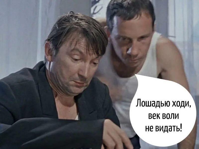 Я первый я первый. Лошадью ходи век воли не. Пукни в ладошку. Правда мем петросян. Здоровей видали.