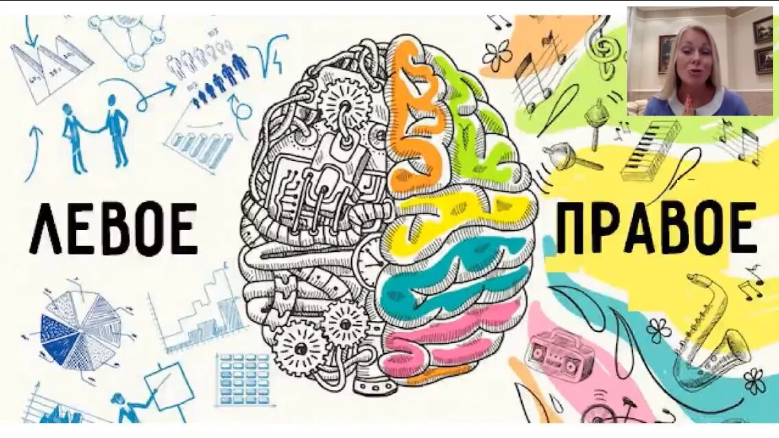 Левое полушарие мозга. Левое и правое полушарие. Правое полушарие мозга. Левое и правое полушарие иллюстрация.