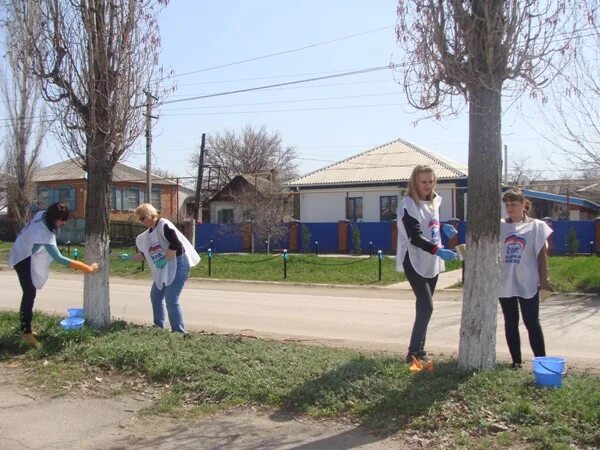 Крылов тацинский район. Почвы Тацинского района. Ст.Тацинская Ростовская. Тацинское сельское поселение.