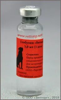 Глобулин у собак