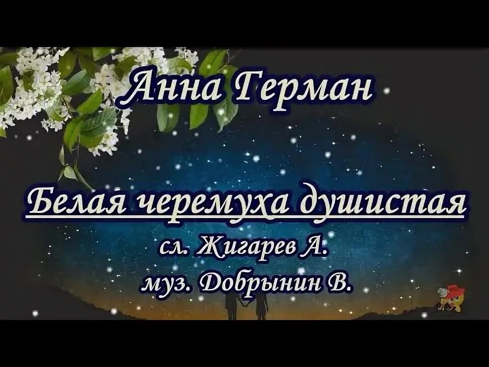 Стихотворение черемуха. Под окном черёмуха колышется текст. Караоке песня белая черемуха. Караоке песня белая черемуха. Фотосессия с черемухой.