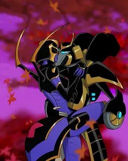Midnight prowl