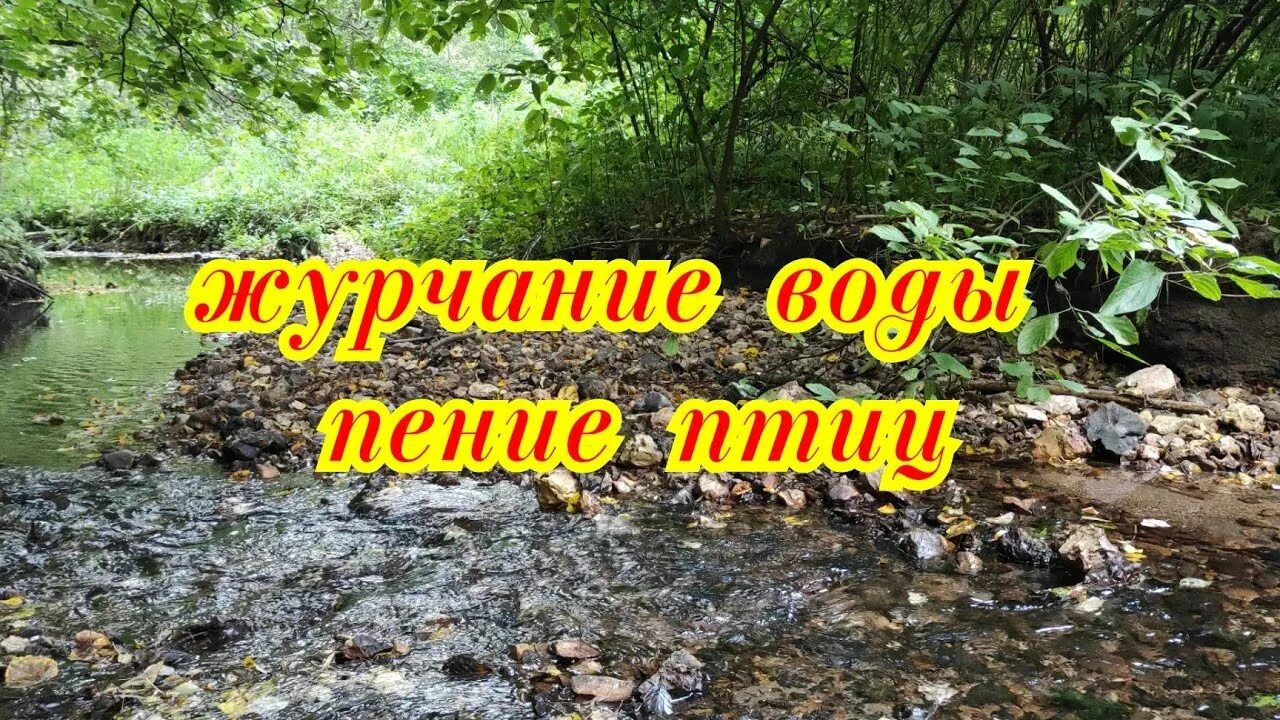 Музыка птиц и журчание