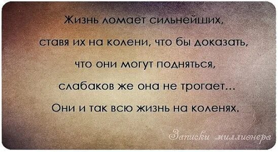 Жизнь есть жизнь что значит