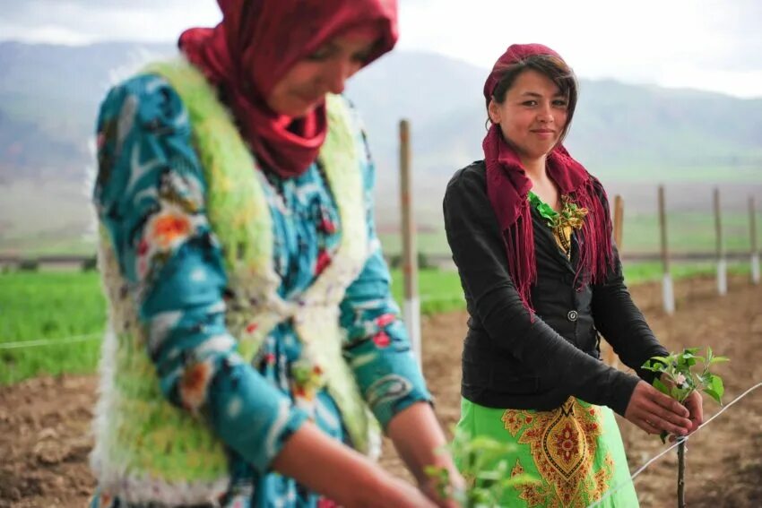 Быт таджиков. Деревни таджикские женщины. Таджичка деревня. Таджичка деревня. Таджичка деревня.