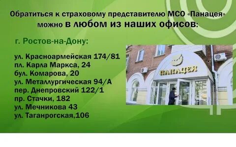 Панацея ростов на дону