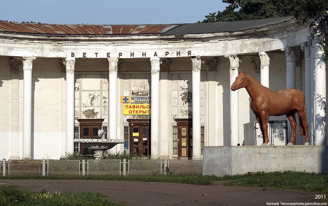 Ветклиника созвездие москва. Ветеринарный центр. Всхв 1939. Ветеринарный центр волгоград. Всхв 1939.