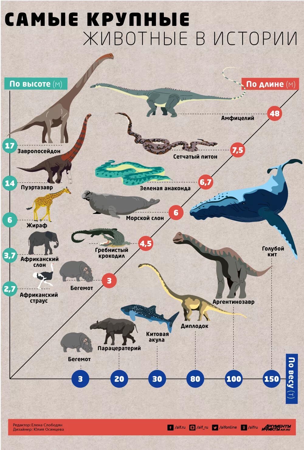 Самые крупные животные таблица. Размеры животных. Сравнительные Размеры животных. Самые большие животные за всю историю земли.