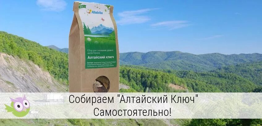 алтайский ключ чистка сосудов. алтайский ключ травяной сбор. чай "алтайский ключ" в капсулах. алтайский ключ травяной. травы.