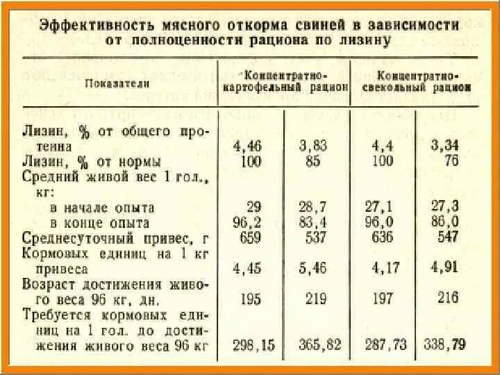 Можно ли месячным поросятам давать. Откорм свиней схема кормления. Рацион откорма свиней поросят. Таблица кормления свиней сухим кормом. Рацион кормления подсосных свиноматок.