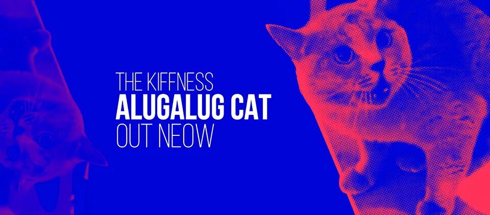 Alugalug cat feat. The kiffness википедия. Alugalug cat. Alugalug cat - singing cat. Alugalug cat 2.