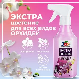 Орхидея экстра