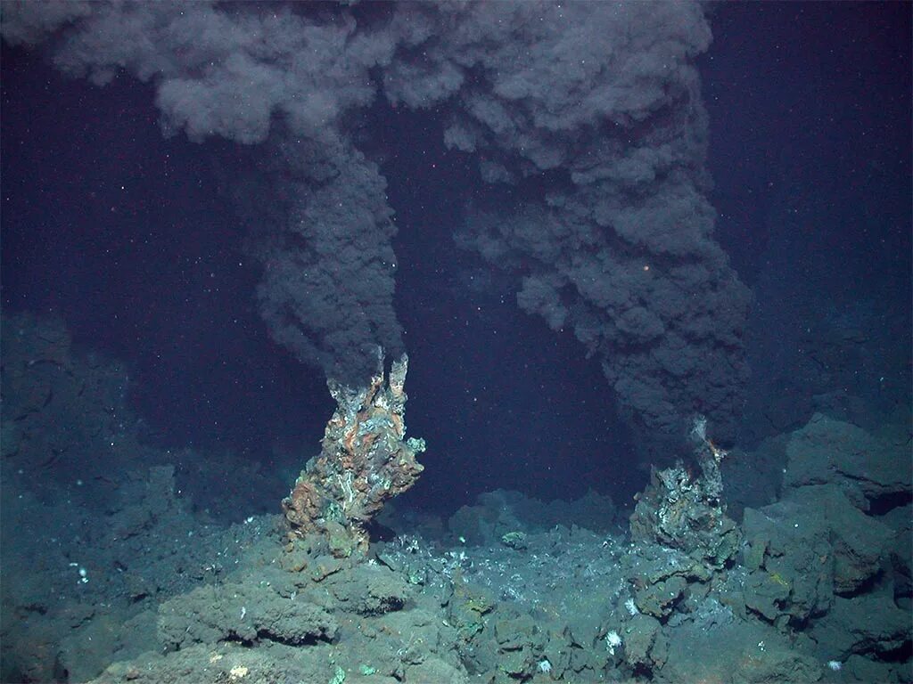 На дне 5 океанов. Черные курильщики Марианская впадина. Дно черного моря сероводород. Бездна Челленджера в Марианской впадине. Дно океана Марианская впадина.