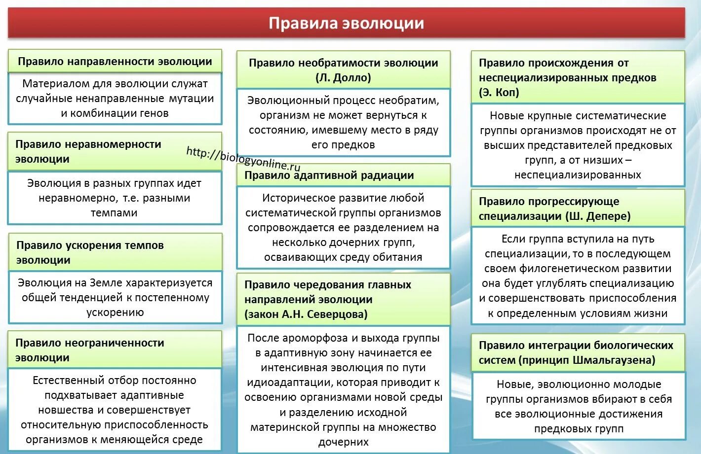 К общим правилам эволюции групп. Правило направленности эволюции. Правила эволюции групп. Правила эволюции биология. Правило направленности эволюции биология.