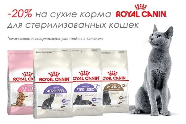 Можно ли корма для стерилизованных
