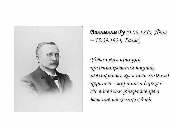 Немец стоявший у истоков экспериментальной эмбриологии. Немец стоявший у истоков экспериментальной эмбриологии