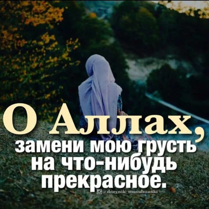 Верь в всевышнего
