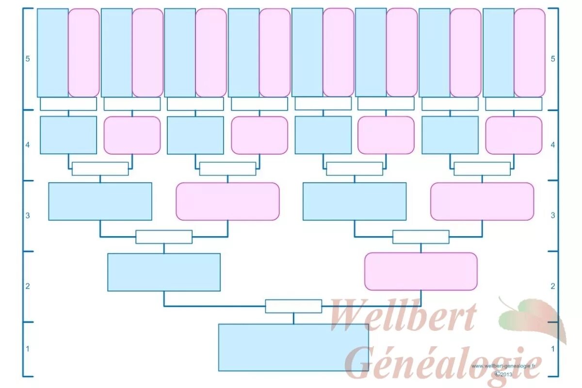 Схема рода человека. Генеалогическое дерево схема. Родословная форма для заполнения. Схема родословного древа для заполнения. Семейное Древо таблица.