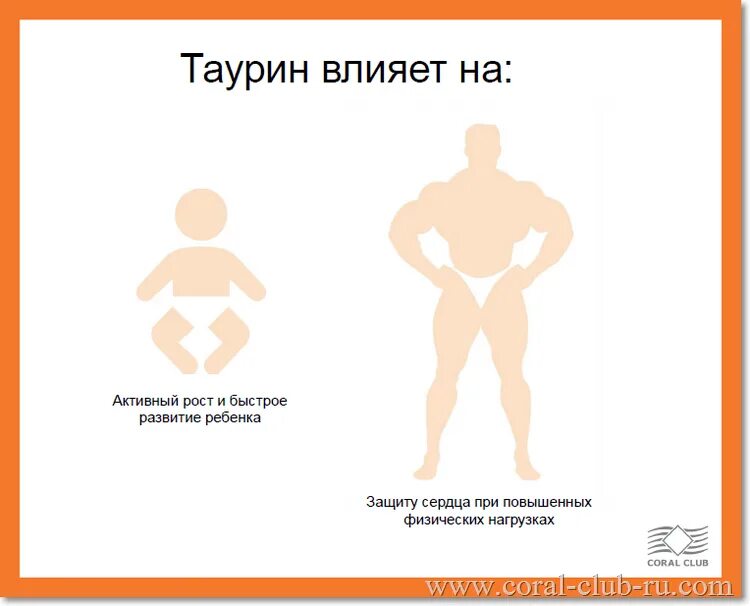 Таурин как влияет. Корал таурин. таурин в молоке функции. таурин коралловый клуб. таурин влияние на организм человека.