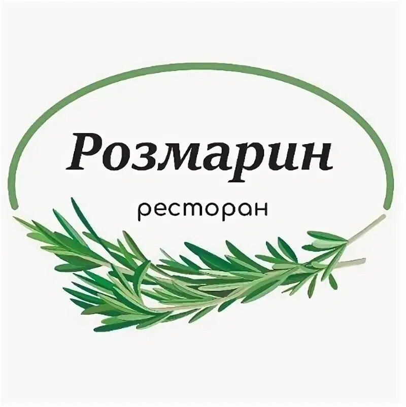 Розмарин полукустарник. Розмарин старомышастовская. Розмарин простратус. Розмарин крымский куст. Розмарин старомышастовская.