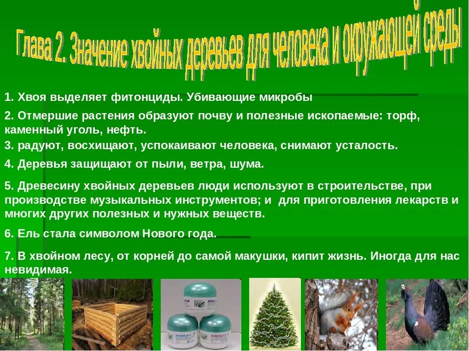 Фитонциды выделяют. Фитонциды растений. можжевельник выделяет фитонциды. сосновые фитонциды. фитонциды хвойных растений в пожилых помещениях.