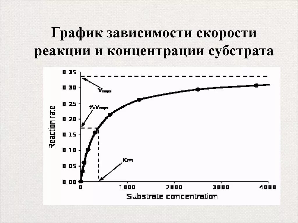 Зависимость а от б. График зависимости скорости от концентрации субстрата. график зависимости скорости реакции от концентрации субстрата. график скорости реакции от концентрации. графическая зависимость скорости реакции от концентрации субстрата.