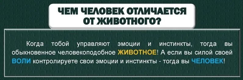 Инстинкты человека и животного отличия. Цитата люди животные инстинкты. Если человеком руководят только инстинкты. У животных инстинкты или разум.