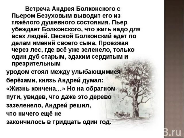 Друг пьера безухова любовник его жены. Встреча с Пьером в Богучарове Андрея Болконского. Встреча Пьера и Андрея Болконского. Встреча с Пьером. Болконский встреча с Пьером в Богучарове кратко.