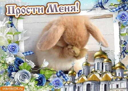 Прощенное воскресенье открытки с приколом